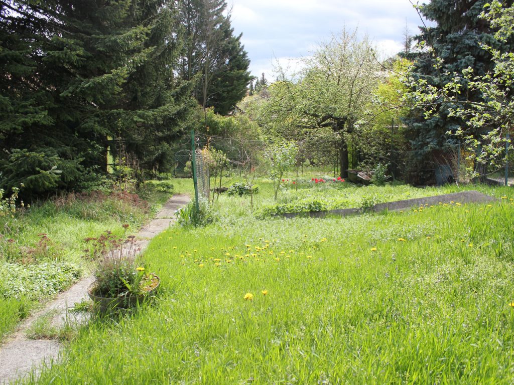 mitten im "Grünen", Wiesengrundstück mit Nadelbäumen, 13. Bezirk von Wien