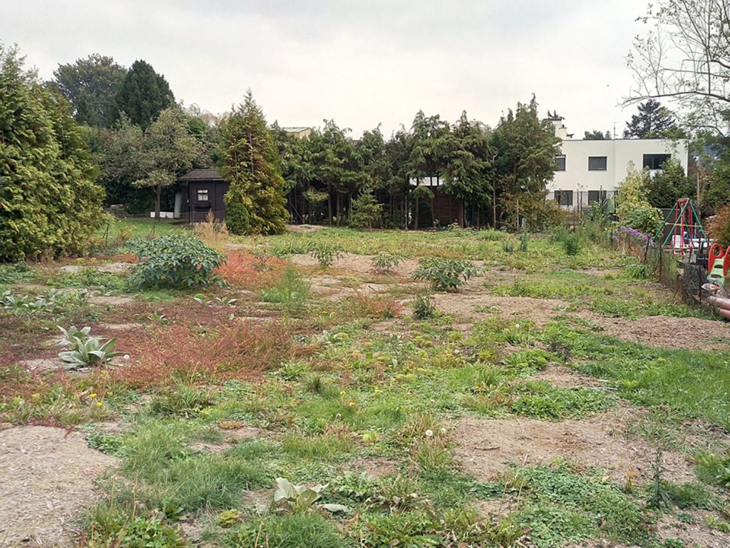 großes leeres Grundstück im 14. Bezirk von Wien, Bäume links und hinten