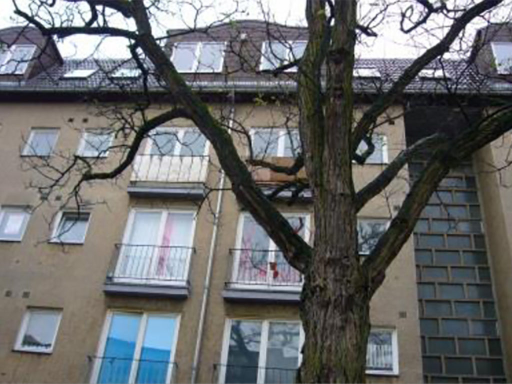 älteres Wohnhaus mit grauer Fassade und französischen Balkonen, großer Baum ohne Blätter im Vordergrund, in Berlin
