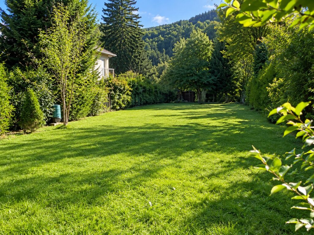 leeres Grundstück mit grüner Wiese, rundherum Bäume