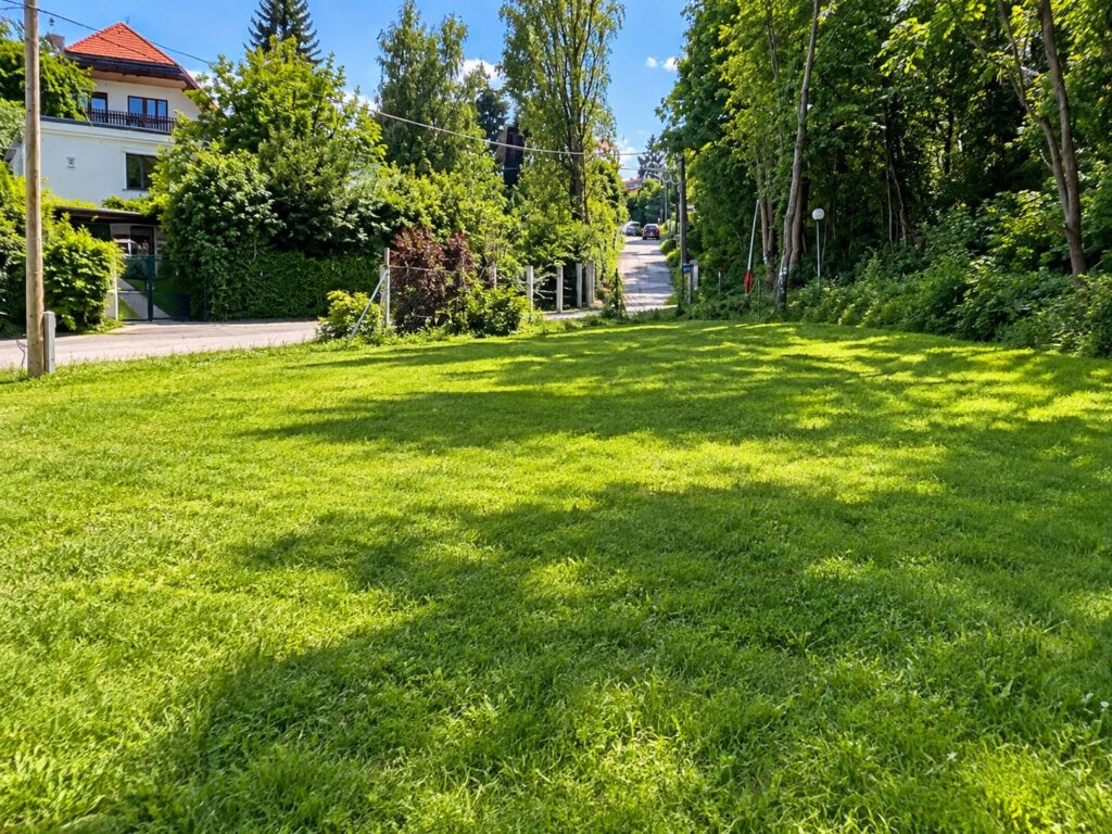 leeres Grundstück mit grüner Wiese, links Blick auf ein Einfamilienhaus, daneben Bäume